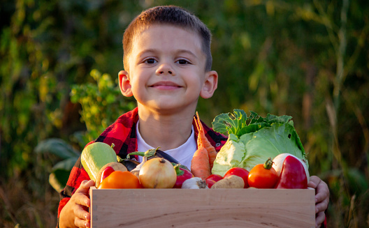 Smiling boy holding assortment of vegetables.