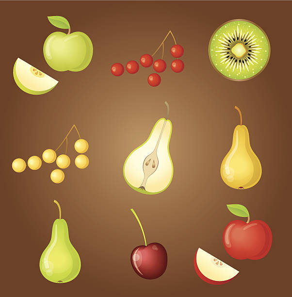 ilustrações de stock, clip art, desenhos animados e ícones de conjunto de frutos - freshness food serving size kiwi