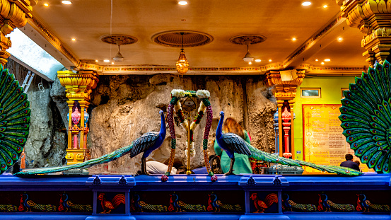 Peacok sculptures in the Batu Caves of Kuala Lumpur, Malaysia