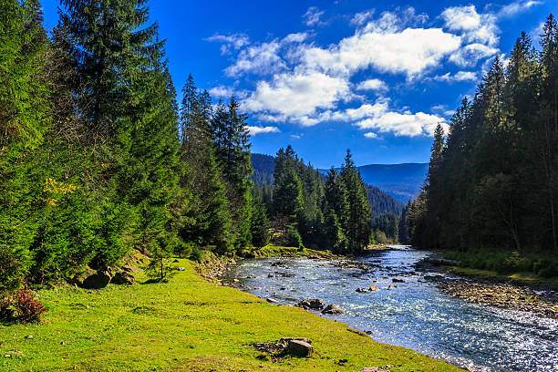 istock river flows by rocky shore near the autumn mountain forest 187927588