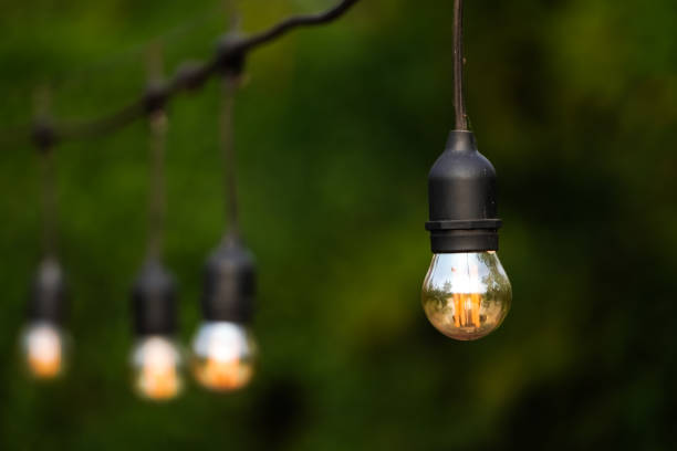 istock Hanging lightbulbs connected by a cable with greenery forest or garden background. Close-up light chain decoration with shady natural background. Festive lights garland. light bulbs on string wire. 1879282306