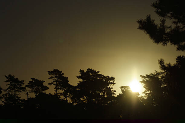 istock Sunrise setting in the country 187928622