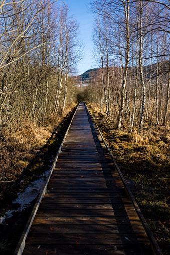 Marais de Vaux, and its wooden path, on the Plateau d’Hauteville in winter