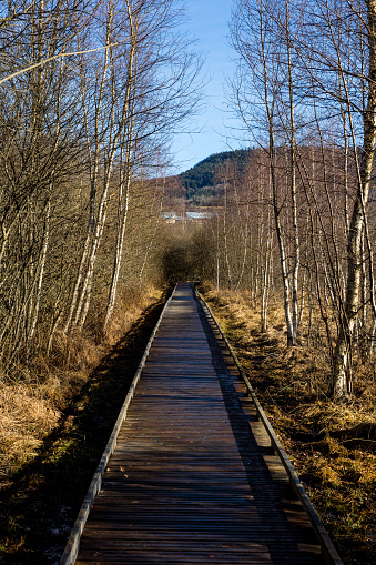 Marais de Vaux, and its wooden path, on the Plateau d’Hauteville in winter