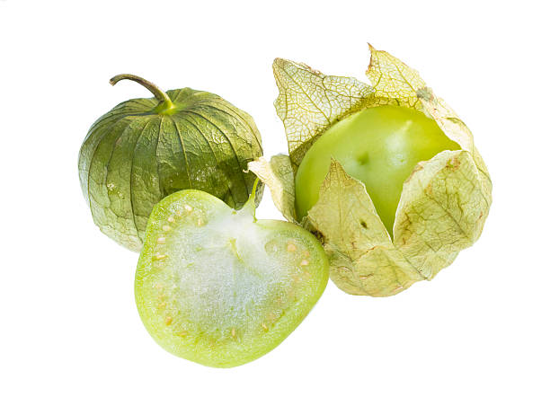 Tomatillo. Center cut, peeled and whole tomatillo isolated on white background. tomatillo photos stock pictures, royalty-free photos & images