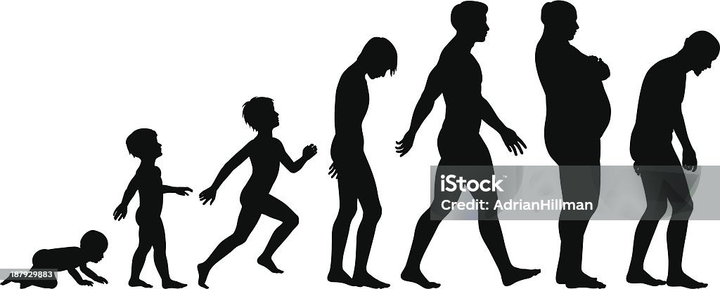 Ages of man Editable vector silhouette sequence of the life stages of a man In Silhouette stock vector