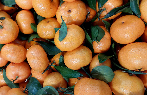 istock Fresh mandarin oranges at the fruit market 1879331223