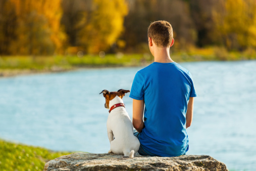 boy and his dog sitting together enjoying the view
