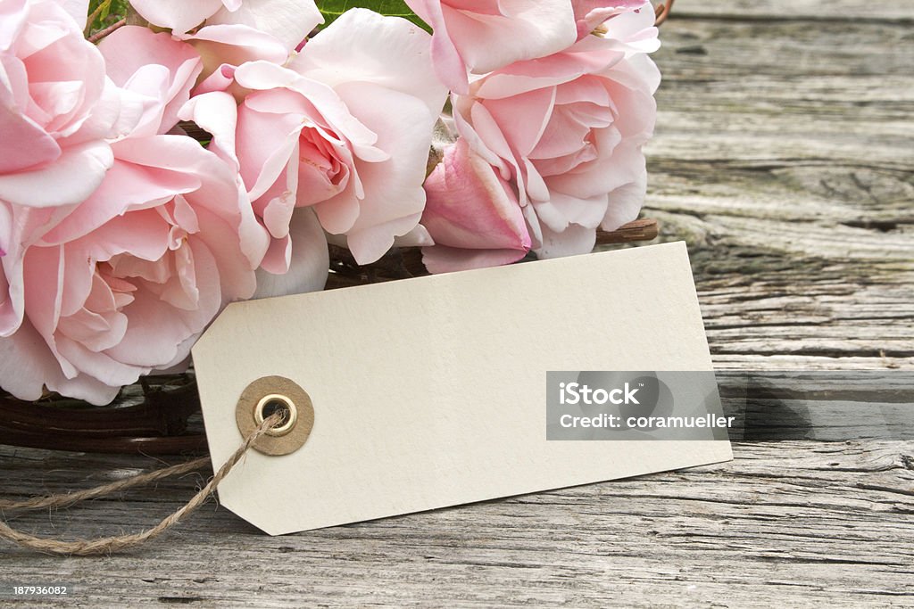 pink roses pink roses with label on wooden ground Backgrounds Stock Photo