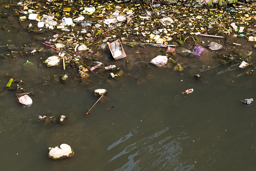 Plastic debris floating in the ocean water.