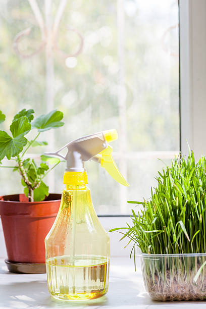 istock grass and sprayer indoors 187937386