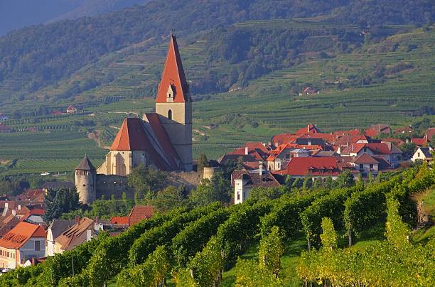 istock Weissenkirchen in Wachau 187937426