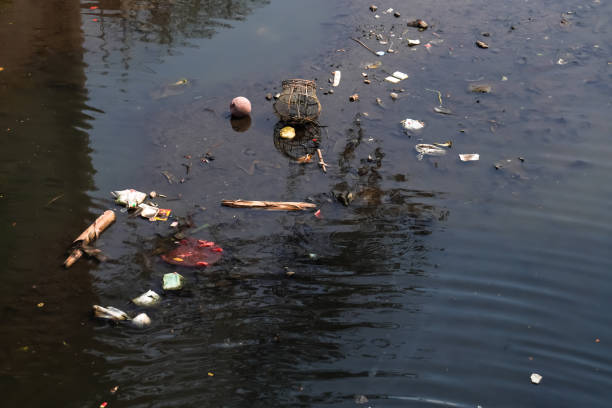 Pollution of river. Polluted lake with plastic waste and garbage. Ecological catastrophe on river. Plastic bottles, bags, cups, different kinds of debris.