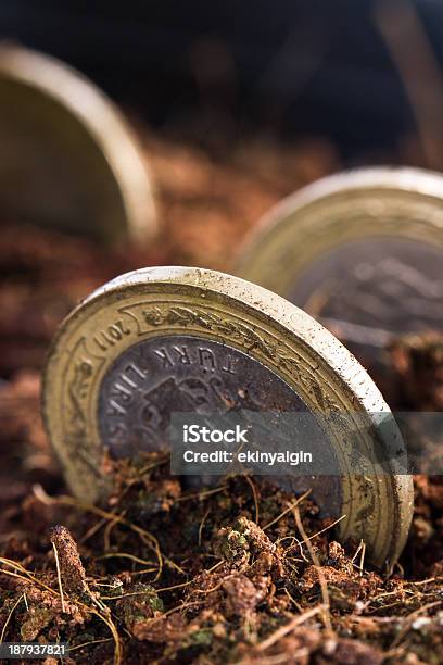 Moedas No Solo - Fotografias de stock e mais imagens de Antigo - Antigo, Ao Ar Livre, Castanho