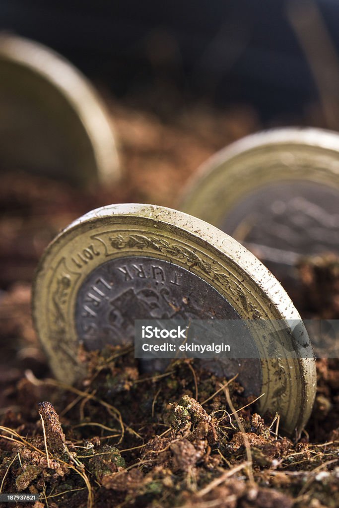Монеты в почве - Стоковые фото Без людей роялти-фри