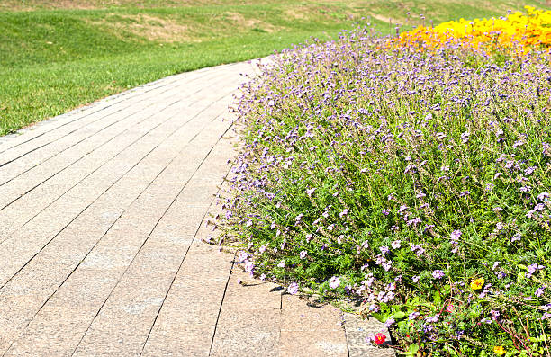 istock Flowers by the roadside in autumn 187938014