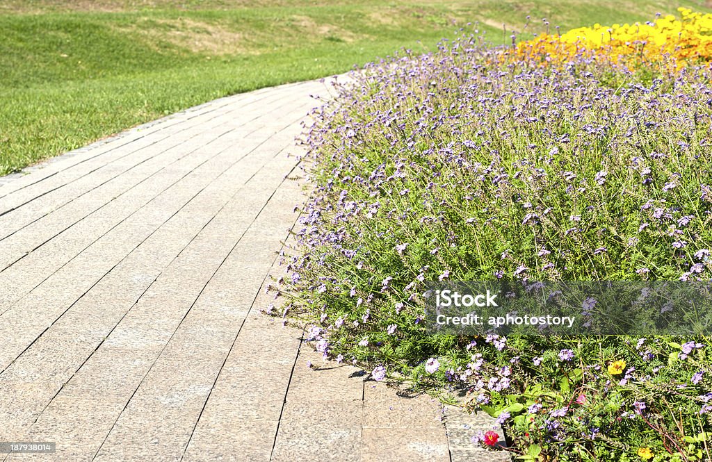 Flores o serviço de auxílio na estrada de outono - Foto de stock de Beleza royalty-free