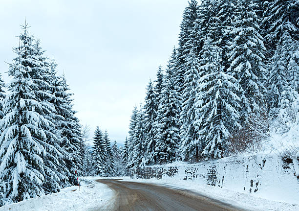 istock Winter country road with fir forest (overcast day). 187938391
