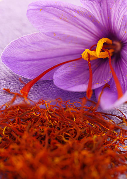 istock Dried saffron spice and flower 187938433