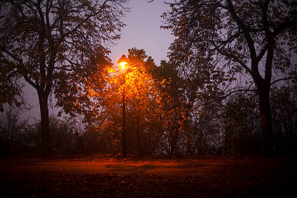 magic lights in the park stock photo