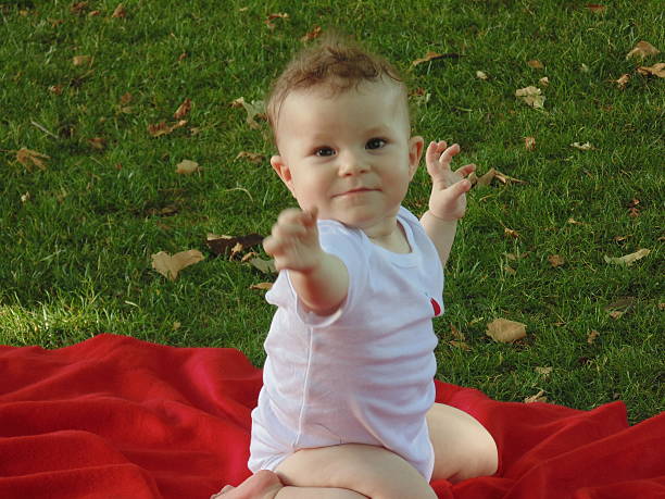 istock Baby boy on the picnic 187939287