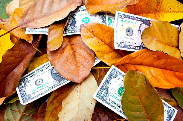 istock Scattered Dollar Bills Amongst Fallen Autumn Leaves 187939617