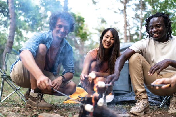 istock Friends roasted marshmallows above campfire in nature 1879401371