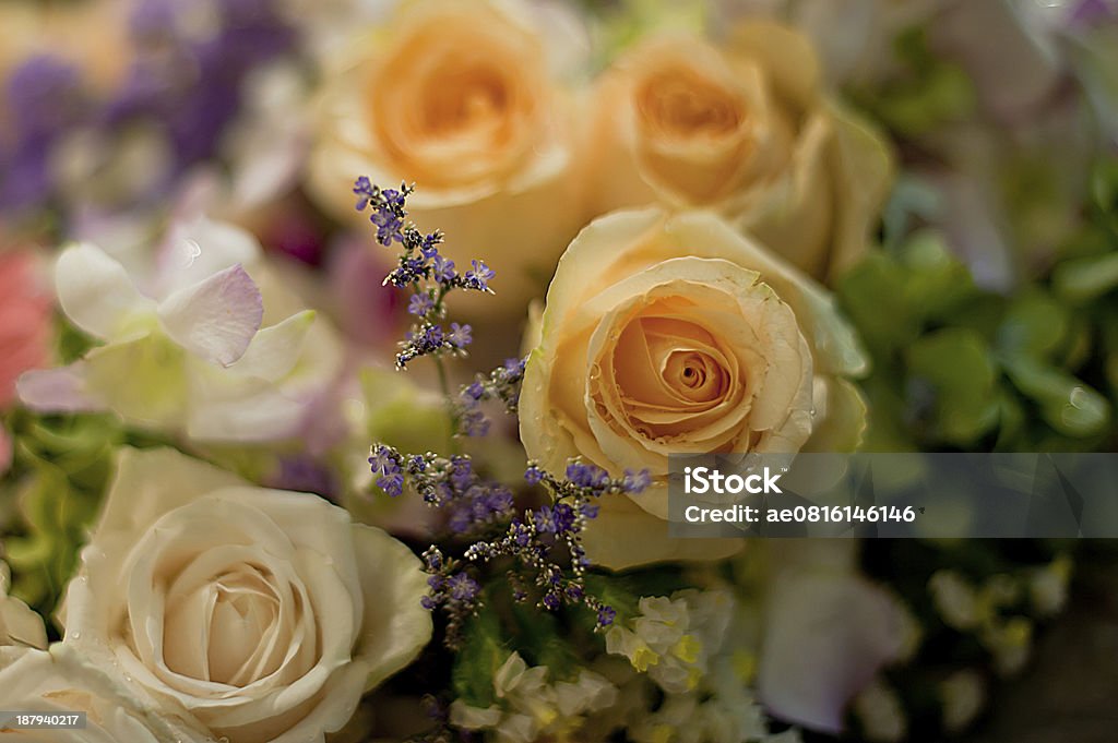 Schöne Rosen im Hintergrund - Lizenzfrei Blumenbouqet Stock-Foto