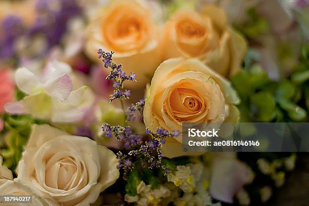 Schöne Rosen Im Hintergrund Stockfoto und mehr Bilder von Blumenbouqet - Blumenbouqet, Blüte, Blütenblatt