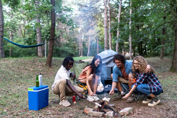 istock Friends roasted marshmallows above campfire in nature 1879402403