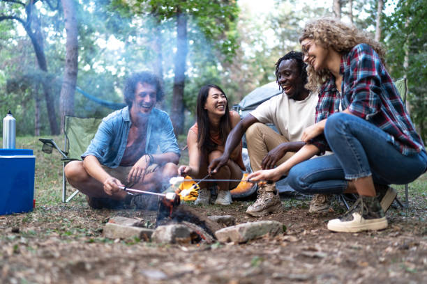 istock Friends roasted marshmallows above campfire in nature 1879403455