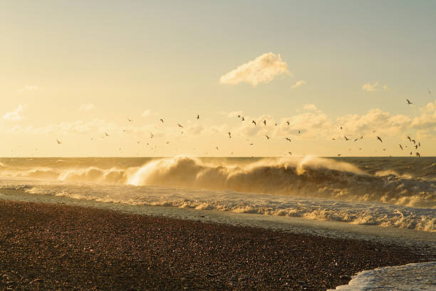 Seagulls flying over a stormy sea