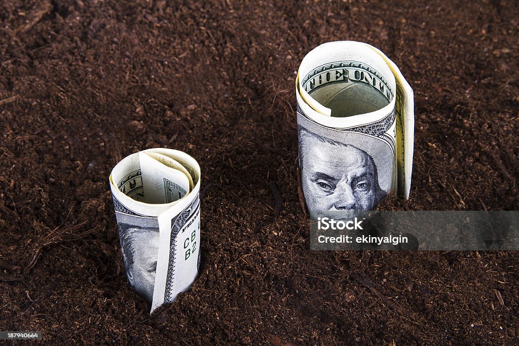 1 ドル紙幣で成長土壌 - 100ドル紙幣のロイヤリティフリーストックフォト