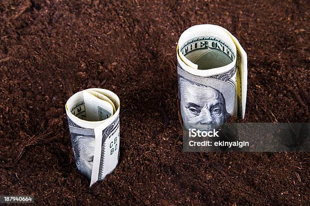 1 ドル紙幣で成長土壌 - 100ドル紙幣のストックフォトや画像を多数ご用意 - 100ドル紙幣, アイデア, アメリカ通貨