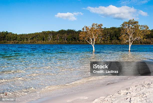 湖マッケンジーフレイザー島オーストラリア - Lake McKenzie - Queenslandのストックフォトや画像を多数ご用意 - Lake McKenzie - Queensland, オーストラリア, クイーンズランド州