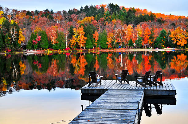 hölzerne dock auf herbst see - trees in fall stock-fotos und bilder