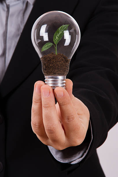 istock Business Woman Holding Light Bulb with Growing Plant 187943749