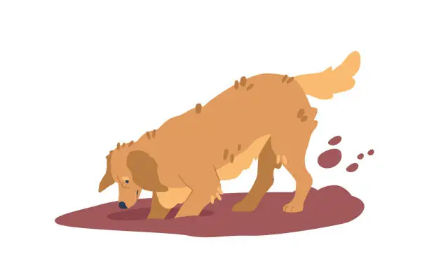 Vector illustration of Golden Retriever Joyfully Digs Into The Soft Soil With Enthusiasm, Paws Flinging Dirt As Its Tail Wags, Embodying Joy