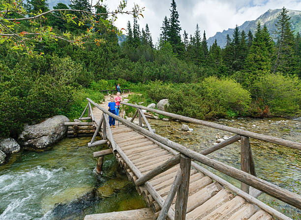 istock Stream and family on wooden bridge (High Tatras, Slovakia) . 187943943
