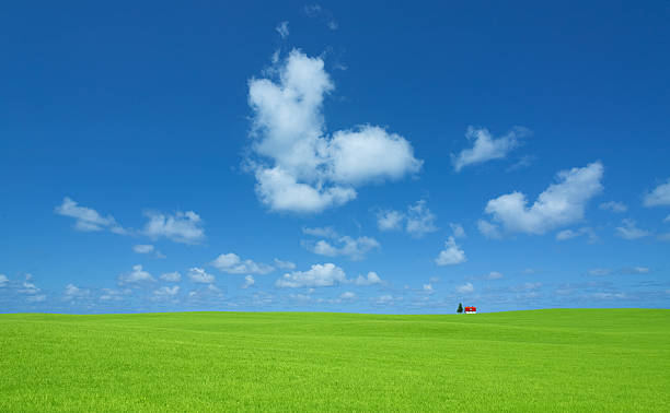 istock Green hill and red roof house 187945338