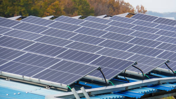 istock Solar panels and trees natural scenery,green energy concept 1879456083