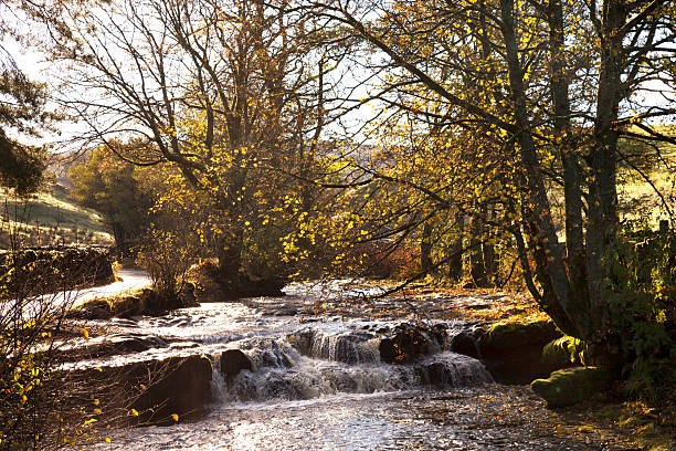 istock Autumn in Dentdale 187946274
