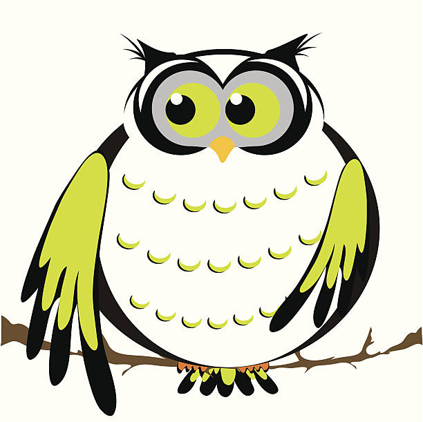 owl vector art illustration