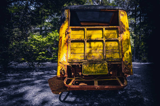 Abamdoned golden car in the forest.