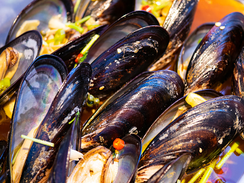 Close-up of mussels on the rock of Galicia beach. Mollusks