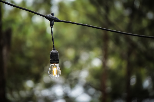 Hanging lightbulbs connected by a cable with pine tree bark forest background. Close-up light chain decoration with shady natural background. Festive lights garland. light bulbs on string wire.