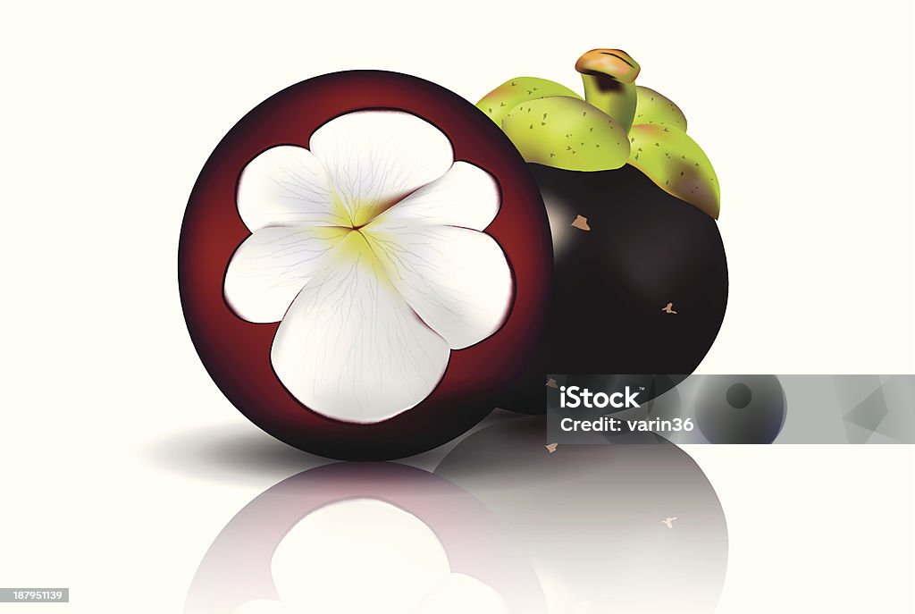 Mangosteen1 - Vetor de Alimentação Saudável royalty-free