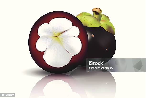 Vetores de Mangosteen1 e mais imagens de Alimentação Saudável - Alimentação Saudável, Bebida, Casca de fruta