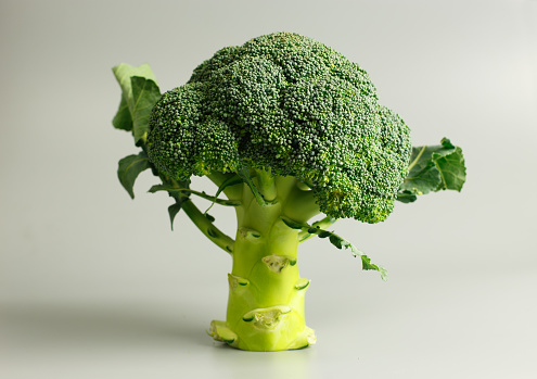 Green raw organic broccoli  standing on gray background studio photography.