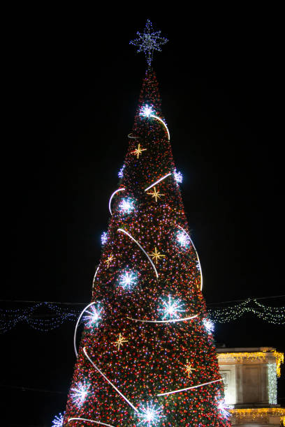 istock Christmas tree on the square in Chisinau 1879542645